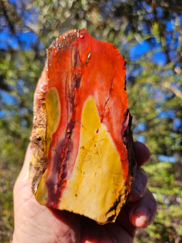 Mookaite rough.  MKR 277