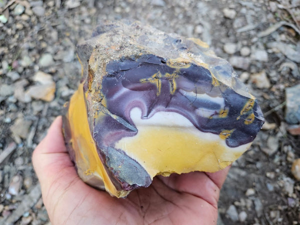 Mookaite rough.  MKR 274