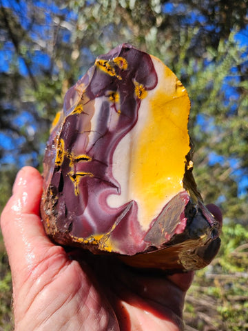 Mookaite rough.  MKR 274
