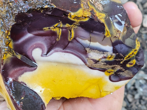 Mookaite rough.  MKR 274