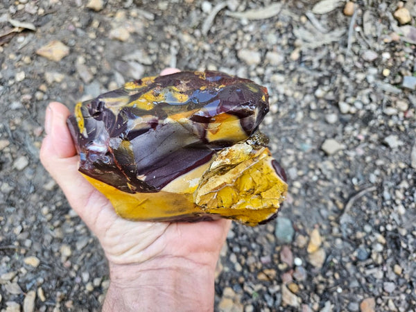 Mookaite rough.  MKR 274