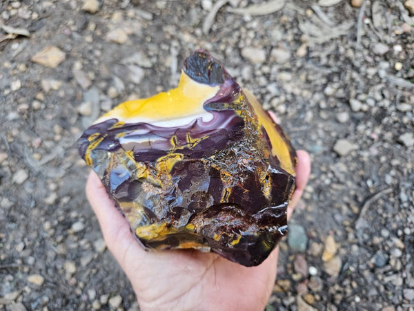 Mookaite rough.  MKR 274