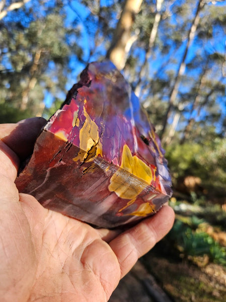 Polished Mookaite  MK544