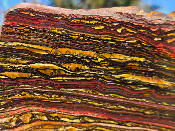 Polished Tiger Iron slab TI373