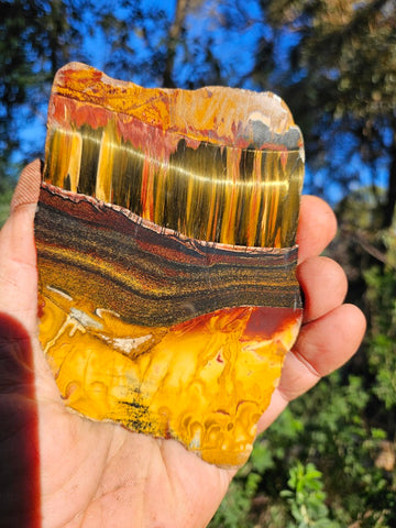 Polished Tiger Eye slab TE471
