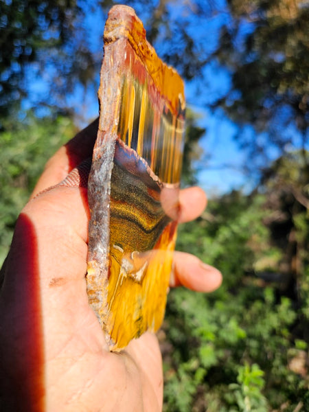 Polished Tiger Eye slab TE471