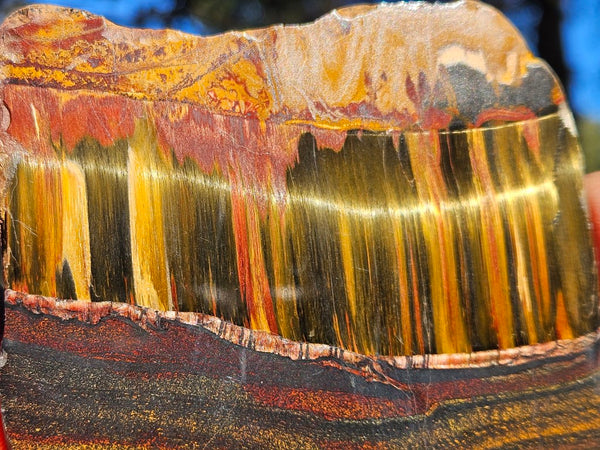 Polished Tiger Eye slab TE471