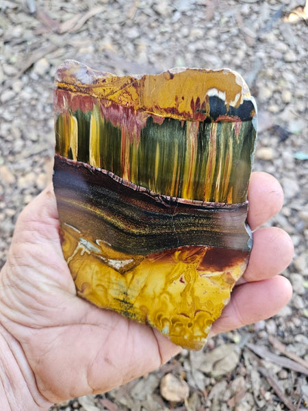 Polished Tiger Eye slab TE471