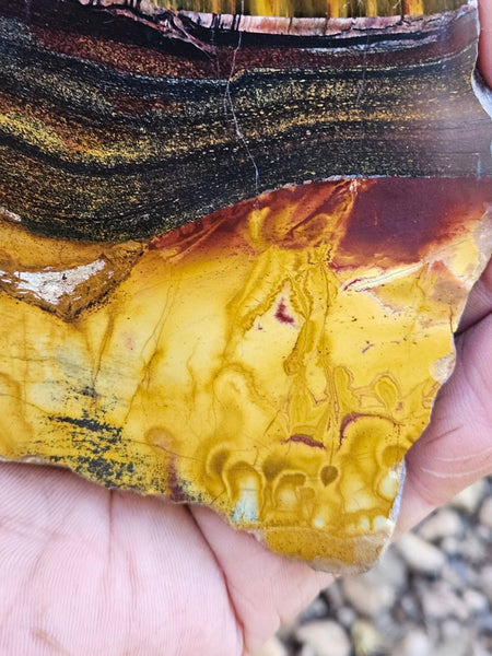 Polished Tiger Eye slab TE471