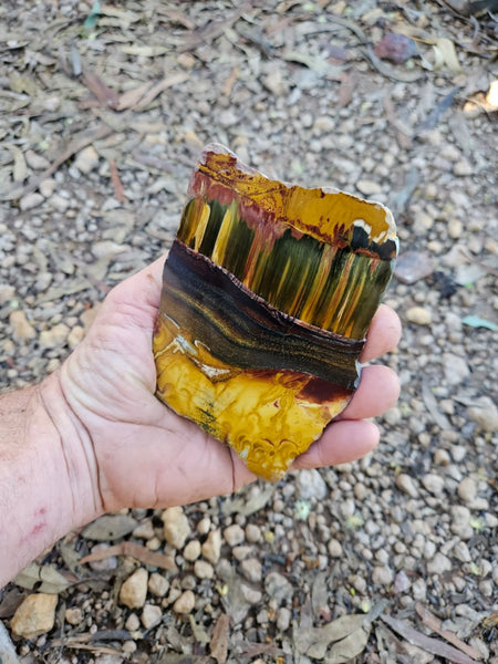 Polished Tiger Eye slab TE471