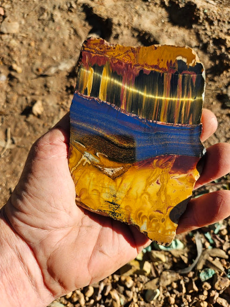 Polished Tiger Eye slab TE471