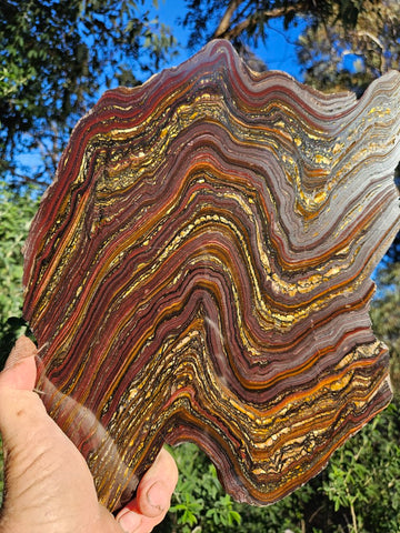 Polished Tiger Iron slab TI374