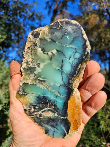 Polished  Chrysoprase  CH480