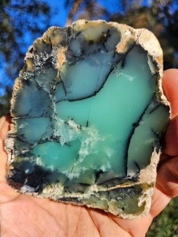 Polished  Chrysoprase  CH479