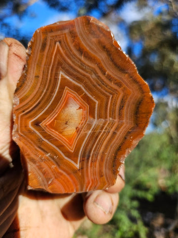 Polished Pilbara Agate PA277