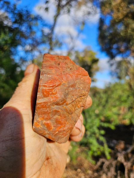 Polished Pilbara Agate PA277