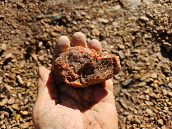 Polished Pilbara Agate PA277