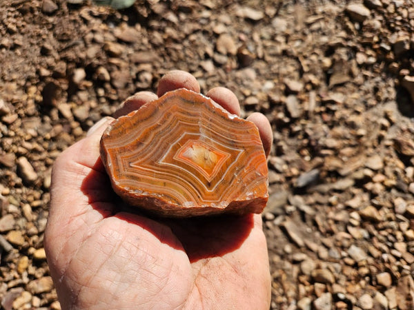 Polished Pilbara Agate PA277