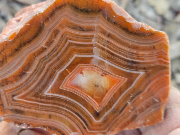 Polished Pilbara Agate PA277