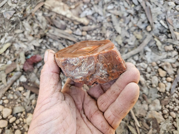 Polished Pilbara Agate PA277