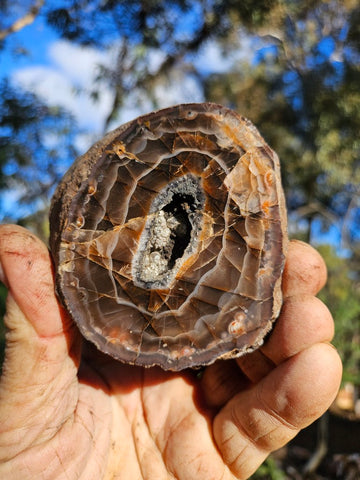 Polished Pilbara Agate PA278
