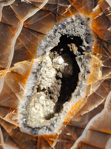 Polished Pilbara Agate PA278