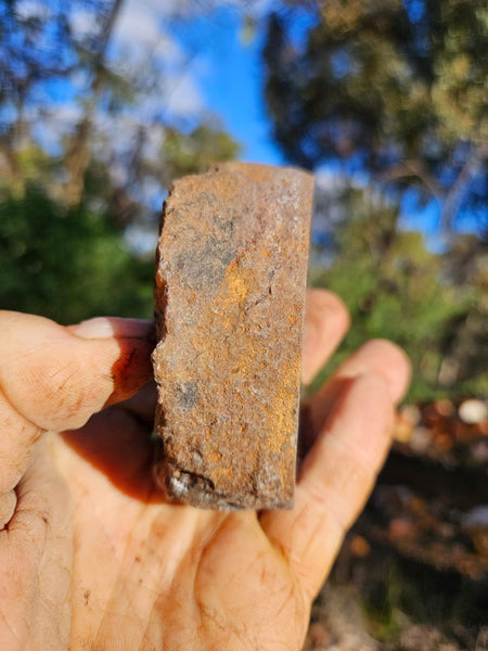 Polished Pilbara Agate PA278