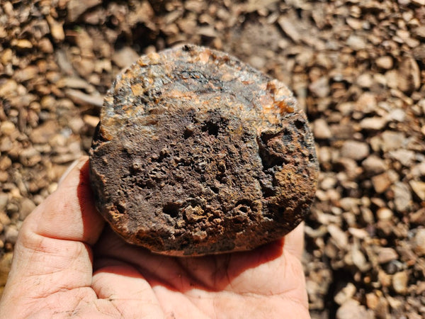 Polished Pilbara Agate PA278