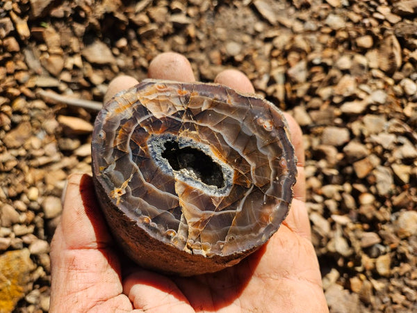 Polished Pilbara Agate PA278