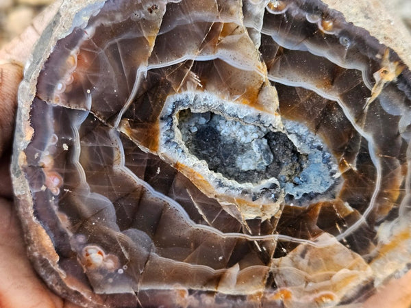 Polished Pilbara Agate PA278