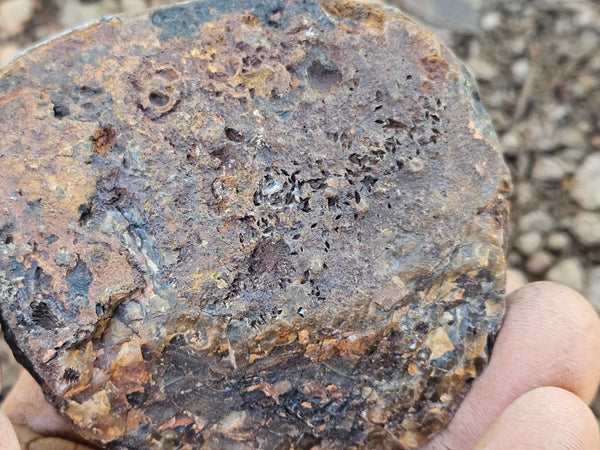 Polished Pilbara Agate PA278