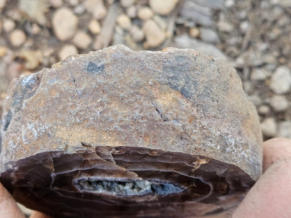 Polished Pilbara Agate PA278