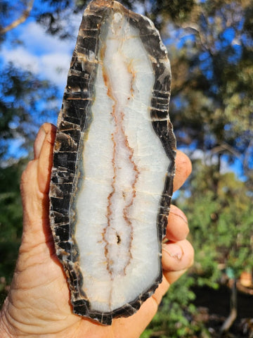 Polished Pilbara Agate PA279