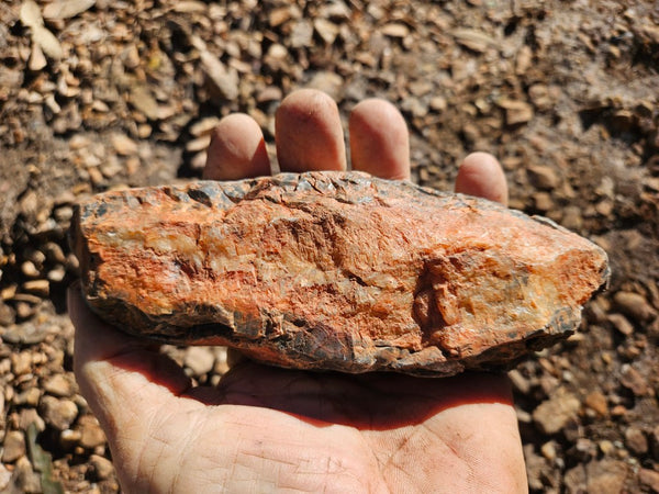 Polished Pilbara Agate PA279
