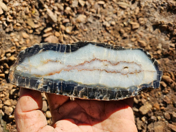 Polished Pilbara Agate PA279