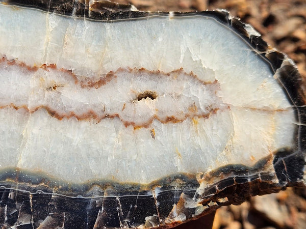 Polished Pilbara Agate PA279