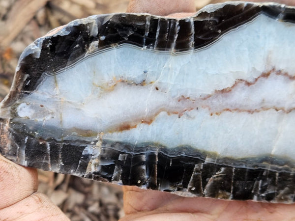 Polished Pilbara Agate PA279