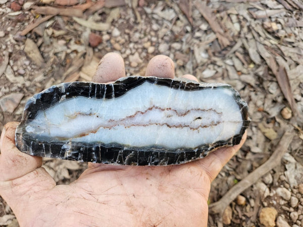Polished Pilbara Agate PA279
