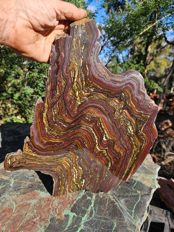 Polished Tiger Iron slab TI375