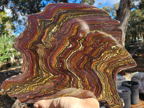 Polished Tiger Iron slab TI375