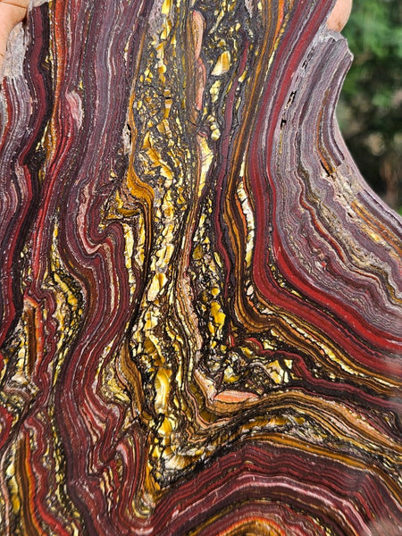 Polished Tiger Iron slab TI375