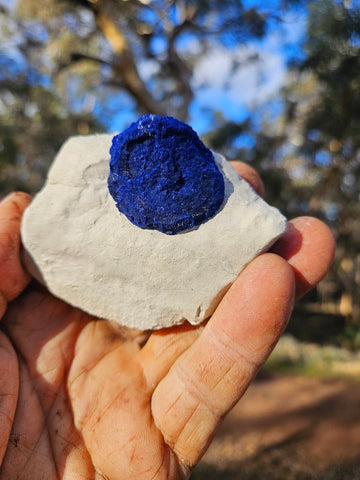 Azurite Sun  AZ161