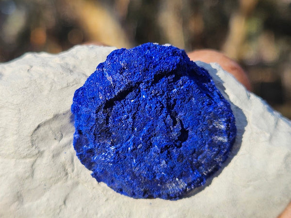Azurite Sun  AZ161