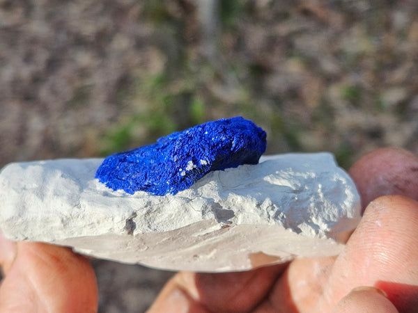 Azurite Sun  AZ161