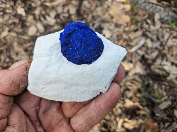 Azurite Sun  AZ161