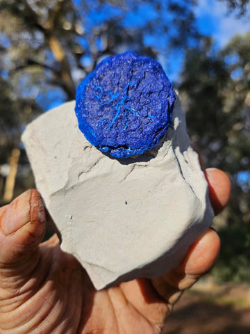 Azurite Sun  AZ165