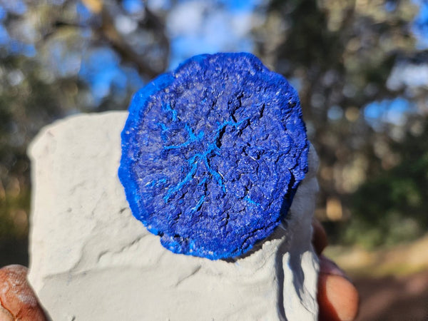 Azurite Sun  AZ165