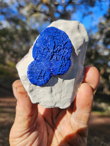 Azurite Sun  AZ163