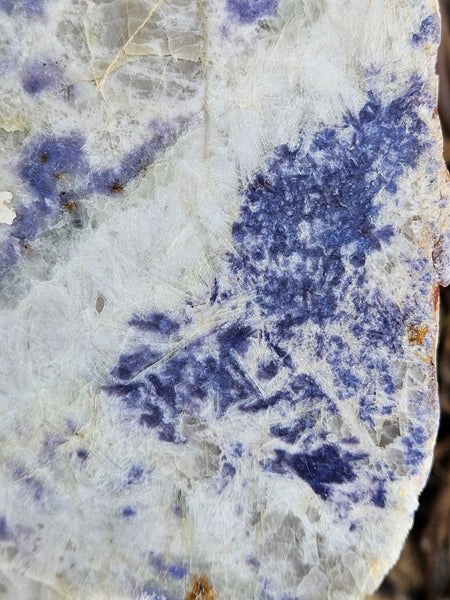 Polished Blue Lepidolite slab BL262