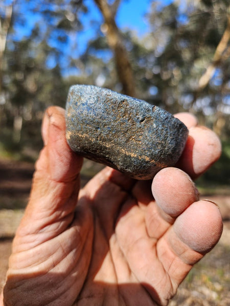 Polished Vivianite nodule half VV114